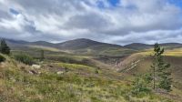 Cairngorms Nationalpark &ndash; &copy; Sinah Witzig (Eberhardt TRAVEL)