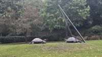 Holland Park  &ndash; &copy; Marlies Thrum (Eberhardt TRAVEL)