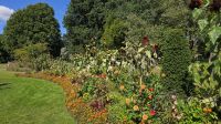 Spaziergang durch den Hyde Park &ndash; &copy; Marlies Thrum (Eberhardt TRAVEL)