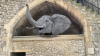 Erinnerung an die Tiere im Tower of London &ndash; &copy; Marlies Thrum (Eberhardt TRAVEL)