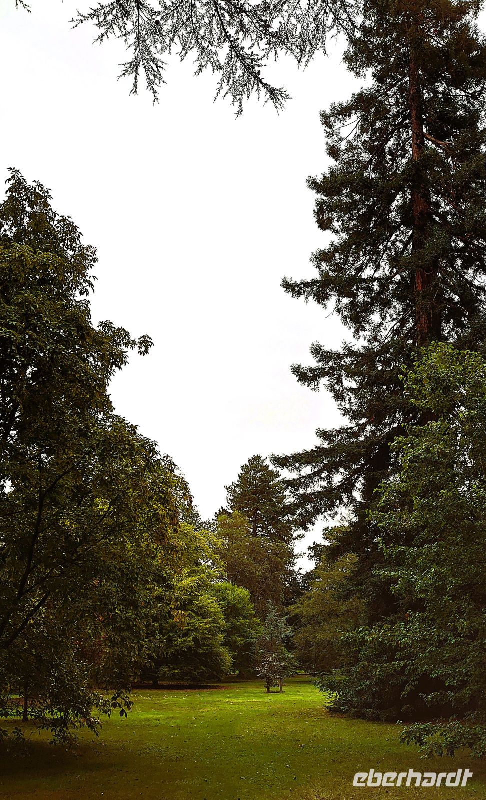 85 Arley Arboretum &ndash; &copy; Burkhard Herpich (Eberhardt TRAVEL)