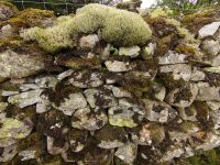 160 Trockenmauer &ndash; &copy; Burkhard Herpich (Eberhardt TRAVEL)