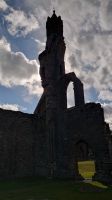 214 Im Gegenlicht, St. Andrews &ndash; &copy; Burkhard Herpich (Eberhardt TRAVEL)