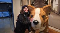 Kuscheln mit royalen Corkies &ndash; &copy; Marlies Thrum (Eberhardt TRAVEL)