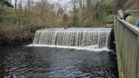 Water of Leith &ndash; &copy; Marlies Thrum (Eberhardt TRAVEL)