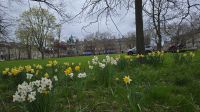 Charlotte Square &ndash; &copy; Marlies Thrum (Eberhardt TRAVEL)