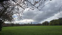 The Meadows