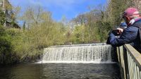 Wehr am Water of Leith