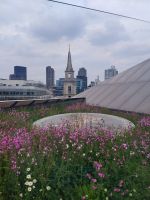 mit Dachgarten ...  &ndash; &copy; Kathrin Körtge (Eberhardt TRAVEL)