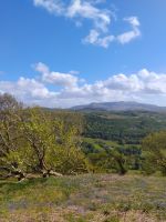 Frühling in Wales  &ndash; &copy; Kathrin Körtge (Eberhardt TRAVEL)