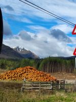 Highlands  &ndash; &copy; Kathrin Körtge (Eberhardt TRAVEL)