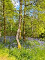 Schottischer Frühling  &ndash; &copy; Kathrin Körtge (Eberhardt TRAVEL)