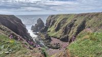 Arbroath Coastal Trail &ndash; &copy; Sinah Witzig (Eberhardt TRAVEL)