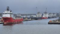 Delfine im Hafen Aberdeen &ndash; &copy; Sinah Witzig (Eberhardt TRAVEL)