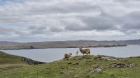 Hillswick Ness &ndash; &copy; Sinah Witzig (Eberhardt TRAVEL)