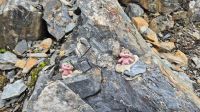 Trows &ndash; &copy; Sinah Witzig (Eberhardt TRAVEL)