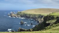 Hermaness Nature Reserve &ndash; &copy; Sinah Witzig (Eberhardt TRAVEL)