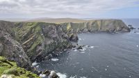 Hermaness Nature Reserve &ndash; &copy; Sinah Witzig (Eberhardt TRAVEL)