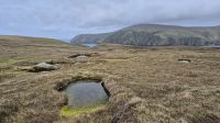 Hermaness Nature Reserve &ndash; &copy; Sinah Witzig (Eberhardt TRAVEL)