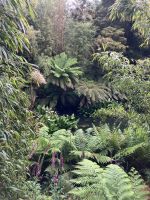 Südengland, Cornwall, Lost Gardens of Heligan &ndash; &copy; Sabine C. Seifert (Eberhardt TRAVEL)