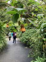 Südengland, Cornwall, Trebah Garden &ndash; &copy; Sabine C. Seifert (Eberhardt TRAVEL)