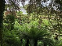 Südengland, Cornwall, Trebah Garden &ndash; &copy; Sabine C. Seifert (Eberhardt TRAVEL)