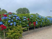 Garten - La Mare Wine Estates