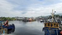 Pause im Hafen von Girvan &ndash; &copy; Marlies Thrum (Eberhardt TRAVEL)