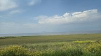 Pause in Girvan mir Blick zu Ailsa Craig &ndash; &copy; Marlies Thrum (Eberhardt TRAVEL)