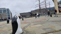 Hallo Dundee &ndash; &copy; Marlies Thrum (Eberhardt TRAVEL)