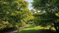 im Arley Arboretum &ndash; &copy; Marlies Thrum (Eberhardt TRAVEL)