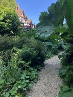 Südengland, Isle of Wight, Shanklin Chine