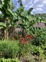 Südengland, Trelissick Garden &ndash; &copy; Sabine C. Seifert (Eberhardt TRAVEL)