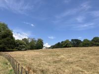 Südengland, Trelissick Garden, Southwalk &ndash; &copy; Sabine C. Seifert (Eberhardt TRAVEL)