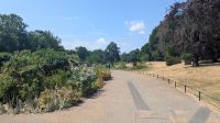 Hyde Park Rose Garden &ndash; &copy; Natalie Hady (Eberhardt TRAVEL)