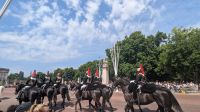 Wachablösung Buckingham Palace  &ndash; &copy; Natalie Hady (Eberhardt TRAVEL)