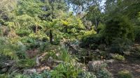 St. James's Park &ndash; &copy; Natalie Hady (Eberhardt TRAVEL)