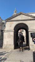 Horse Guards &ndash; &copy; Natalie Hady (Eberhardt TRAVEL)
