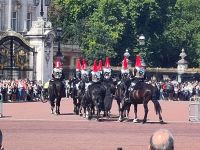Horse Guards