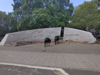 Denkmal für die im Krieg eingesetzteb Tiere