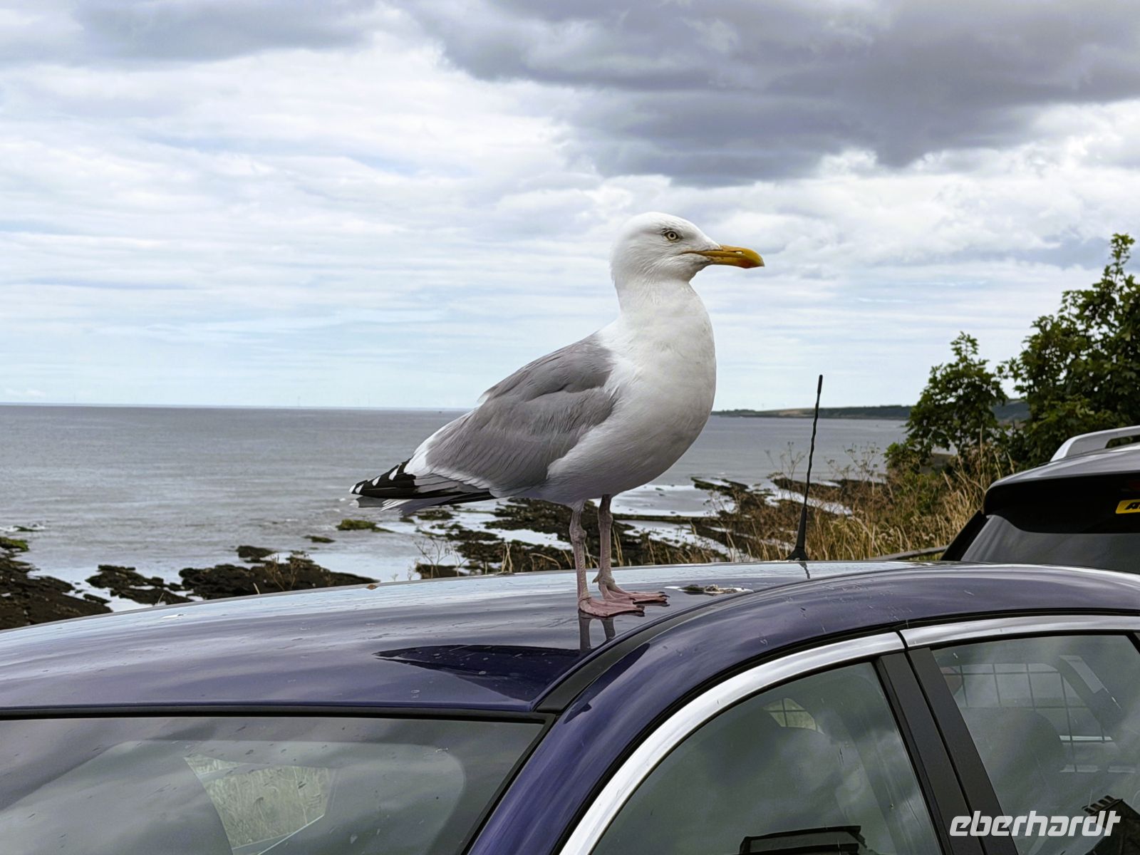 &copy; Burkhard Herpich (Eberhardt TRAVEL)