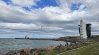am Hafen Aberdeen &ndash; &copy; Marlies Thrum (Eberhardt TRAVEL)