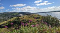 Blick auf den Clyde vom Dumbarton Castle &ndash; &copy; Marlies Thrum (Eberhardt TRAVEL)