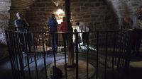 die Stechpalme im Cawdor Castle