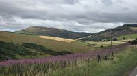 Fahrt durch die Highlands &ndash; &copy; Marlies Thrum (Eberhardt TRAVEL)