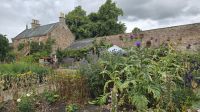 Priors Garden in Melrose &ndash; &copy; Marlies Thrum (Eberhardt TRAVEL)