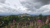 Scotts View
