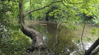 Water of Leith &ndash; &copy; Marlies Thrum (Eberhardt TRAVEL)