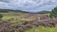 Cairngorms Nationalpark &ndash; &copy; Sinah Witzig (Eberhardt TRAVEL)