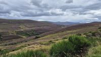 Cairngorms Nationalpark &ndash; &copy; Sinah Witzig (Eberhardt TRAVEL)